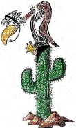 Yuma Hamfest