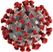 Virus